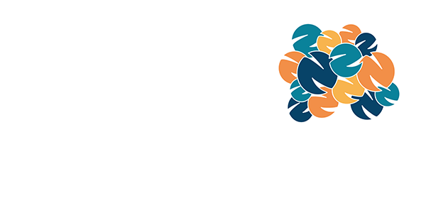 Hayah Library Manegement System